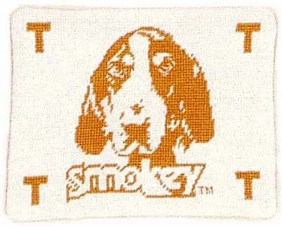 Smokey - Needlepoint Pillow 8x10