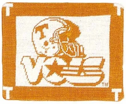 Vols - Needlepoint Pillow 9x11