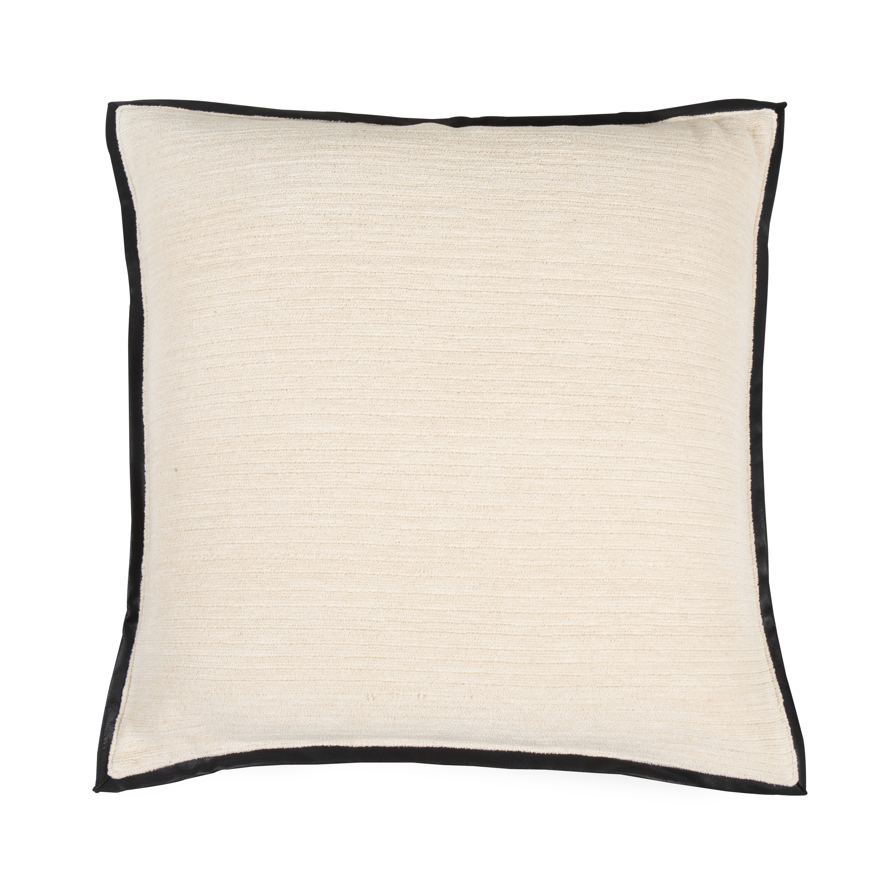 Leather Border Pillow